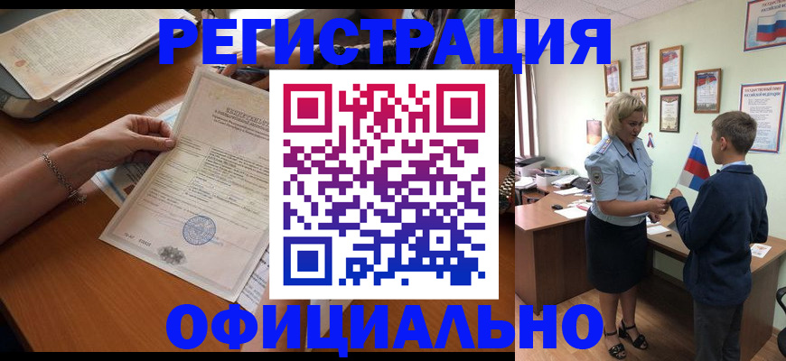 временная регистрация в квартире в Железногорске